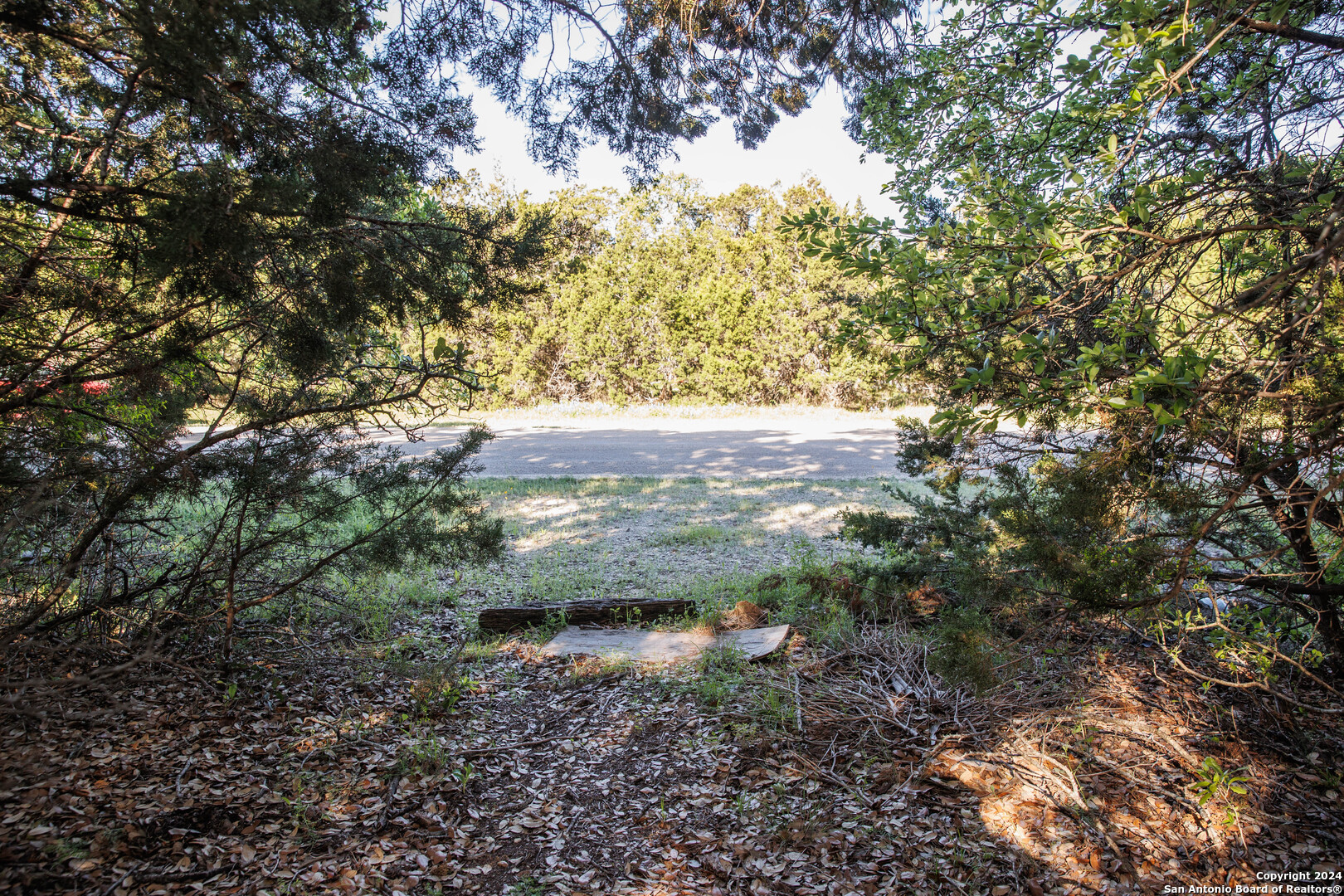 1058 Indian Hollow Spring Branch, TX 78070 - Photo 4 of 18