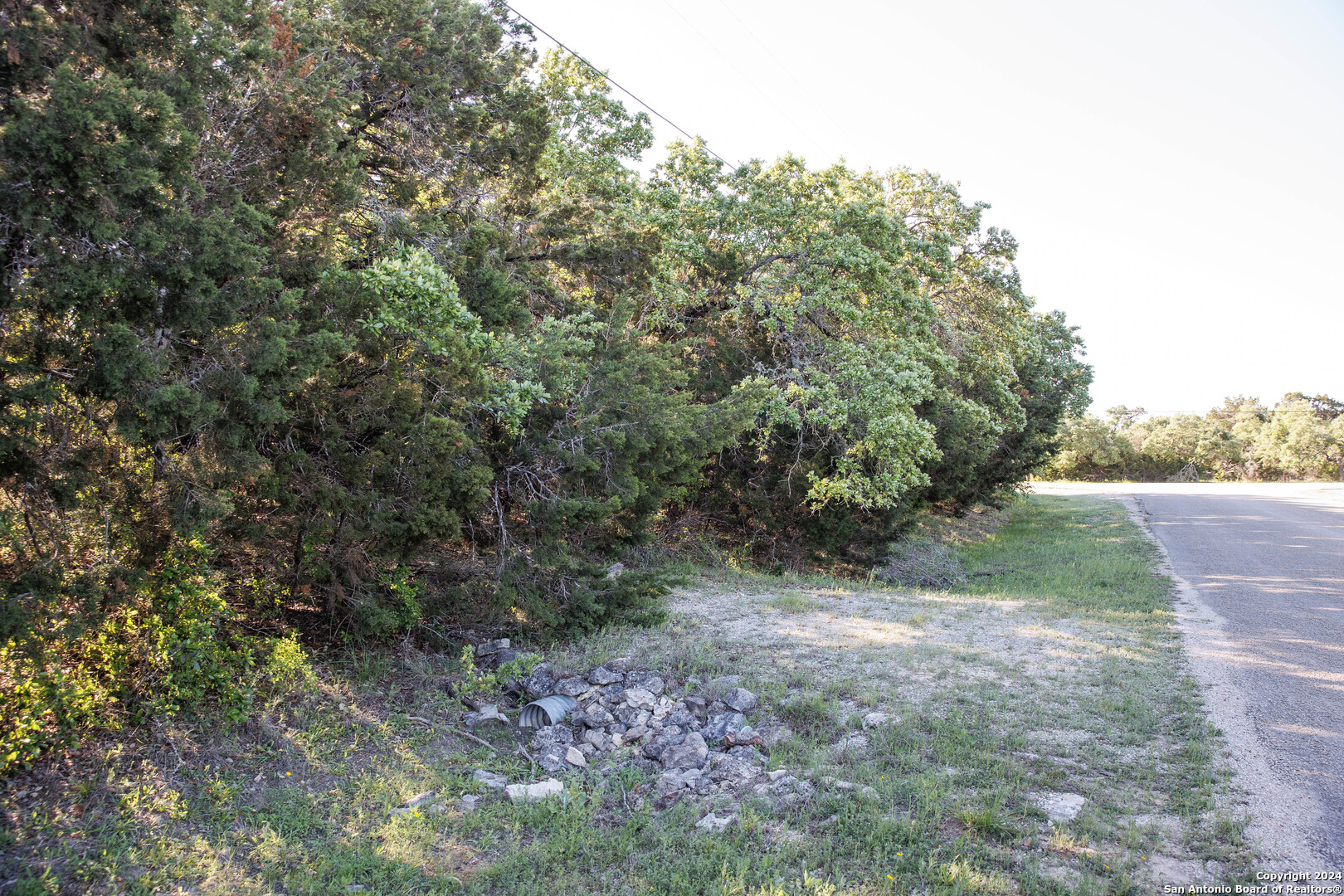 1058 Indian Hollow Spring Branch, TX 78070 - Photo 5 of 18