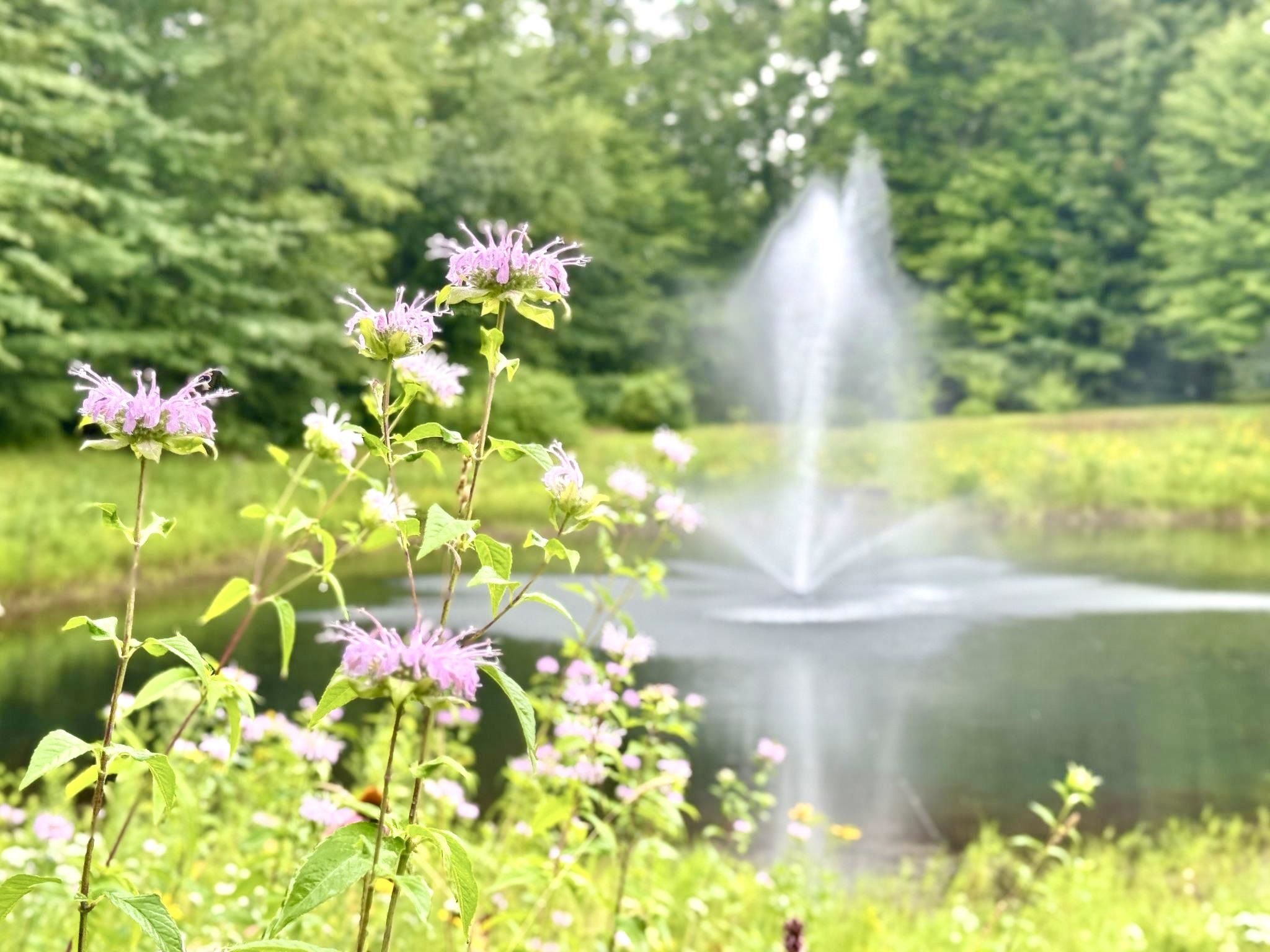 3 Sterling Hill Lane, Unit 324 Exeter, NH 03833 - Photo 36 of 45