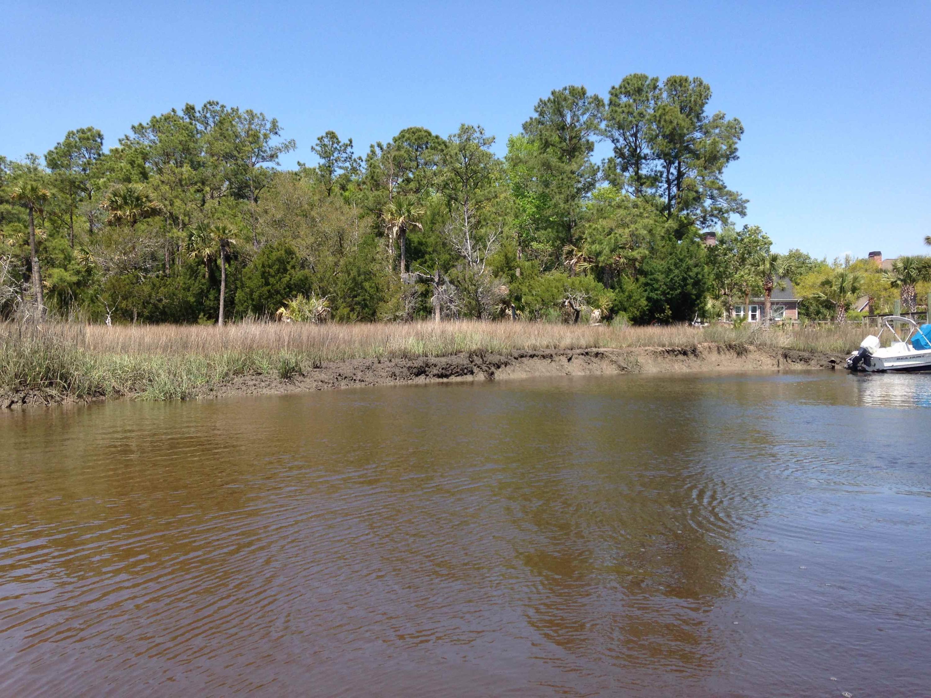 2131 Shell Ring Circle Mount Pleasant, SC 29466 - Photo 1 of 2 2131ShellRing_LotFromCreek