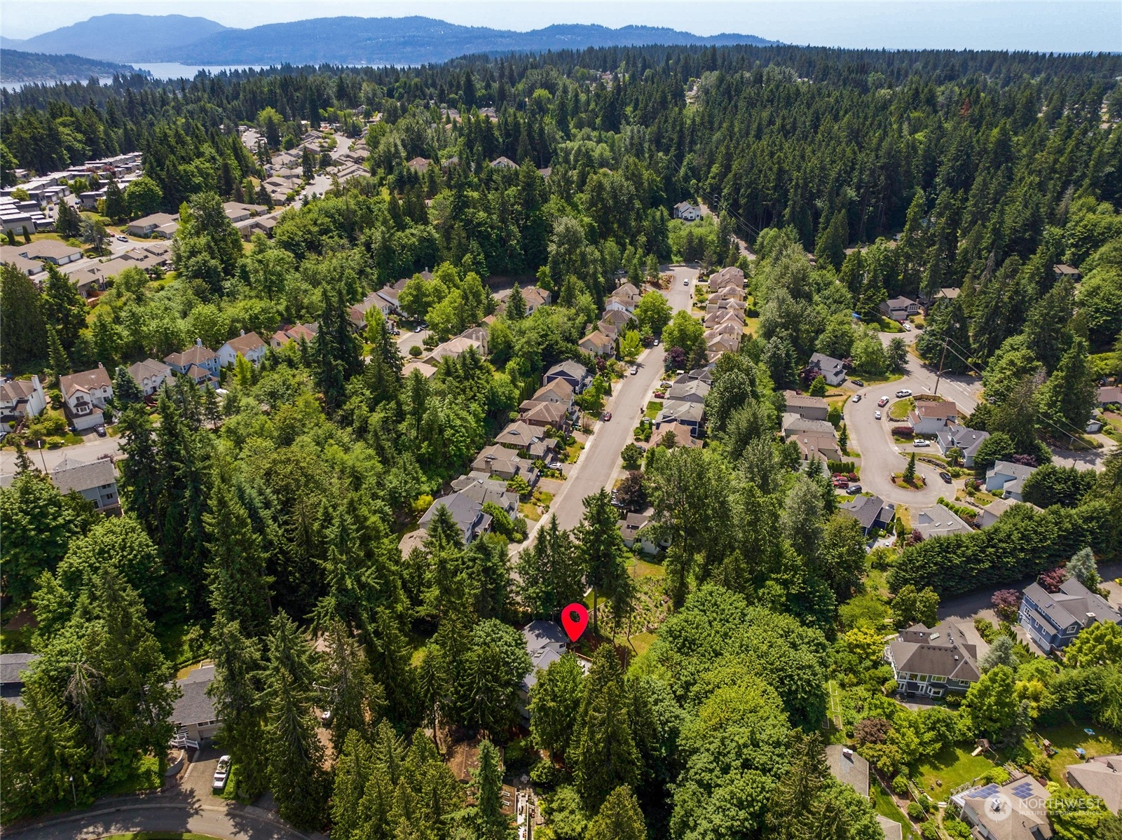 17321 Northeast 31st Court Redmond, WA 98052 - Photo 39 of 40 an aerial view of green landscape with trees houses and mountain view