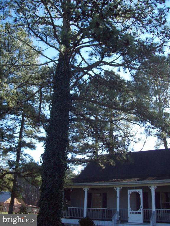 26595 Mariners Road Crisfield, MD 21817 - Photo 37 of 82 Gallery Image 37