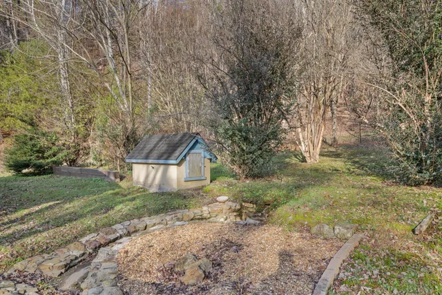 a view of a house with yard and a tree