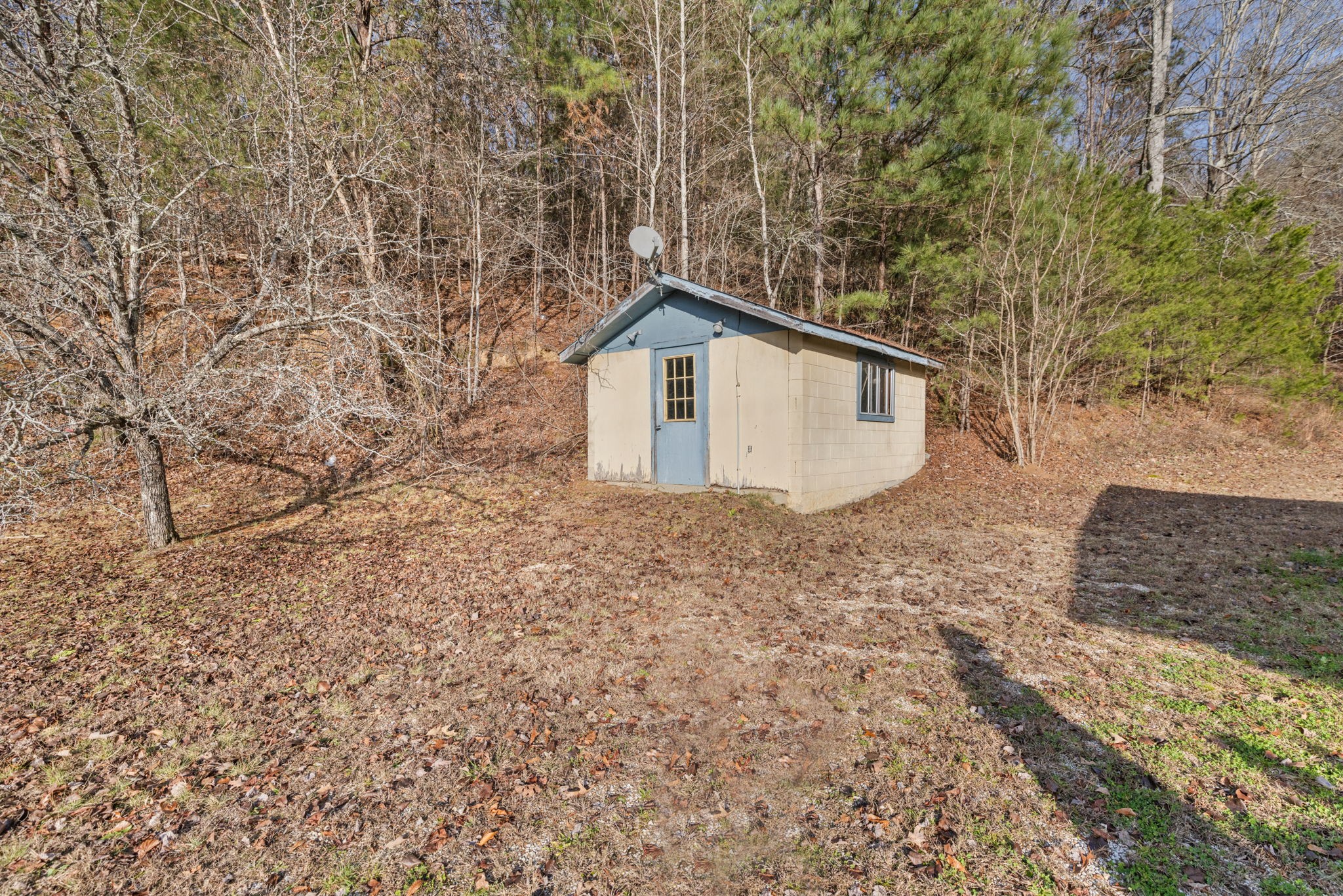 5685 County Road 14 Waterloo, AL 35677 - Photo 25 of 26