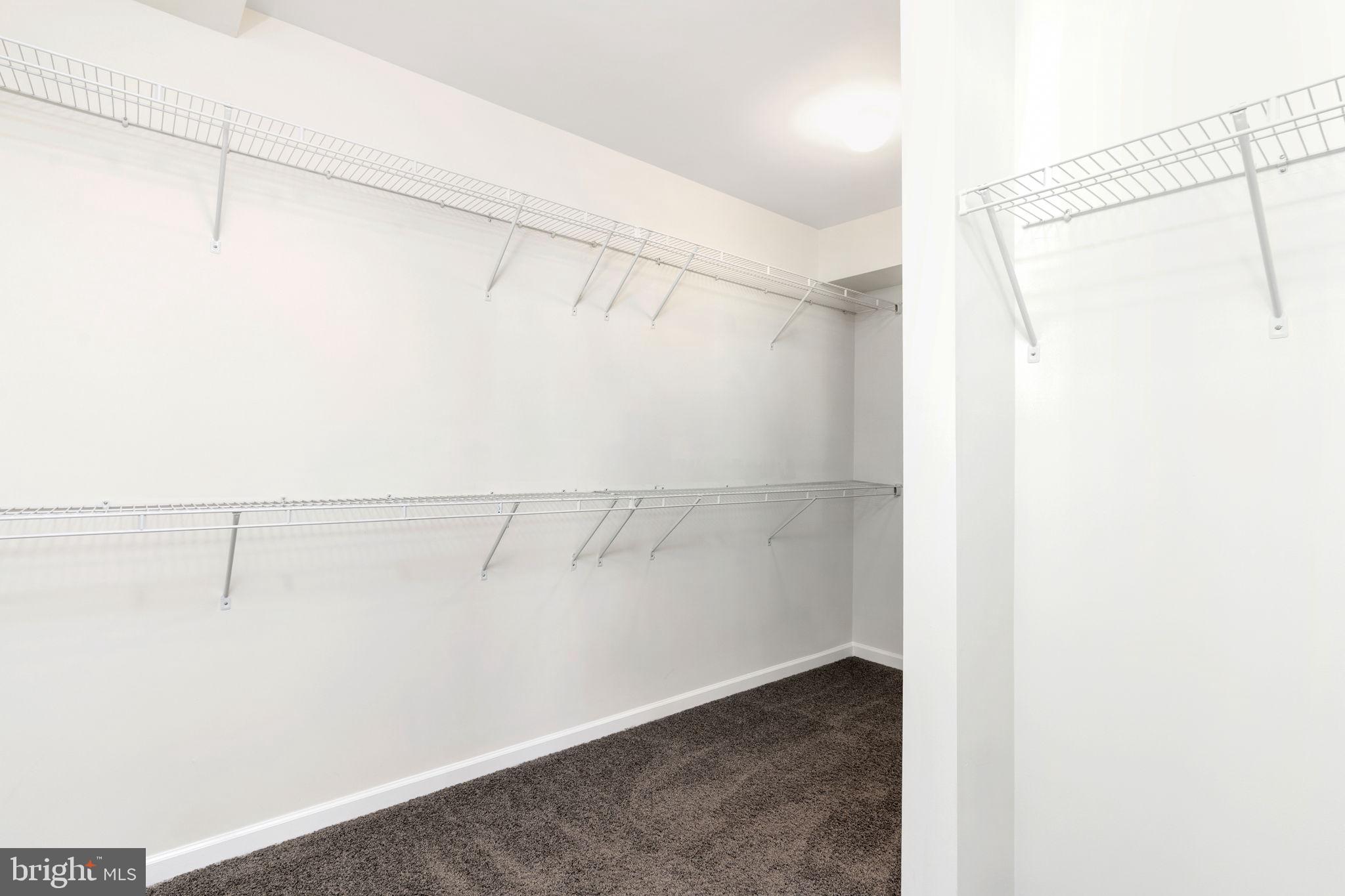 22605 Naugatuck Square Ashburn, VA 20148 - Photo 14 of 32 Huge Primary Walk-in Closet