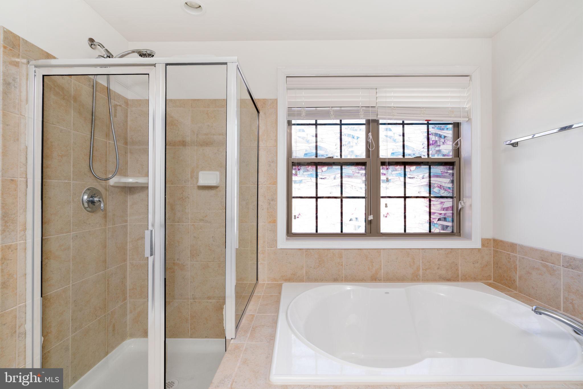 22605 Naugatuck Square Ashburn, VA 20148 - Photo 16 of 32 Primary Bathroom