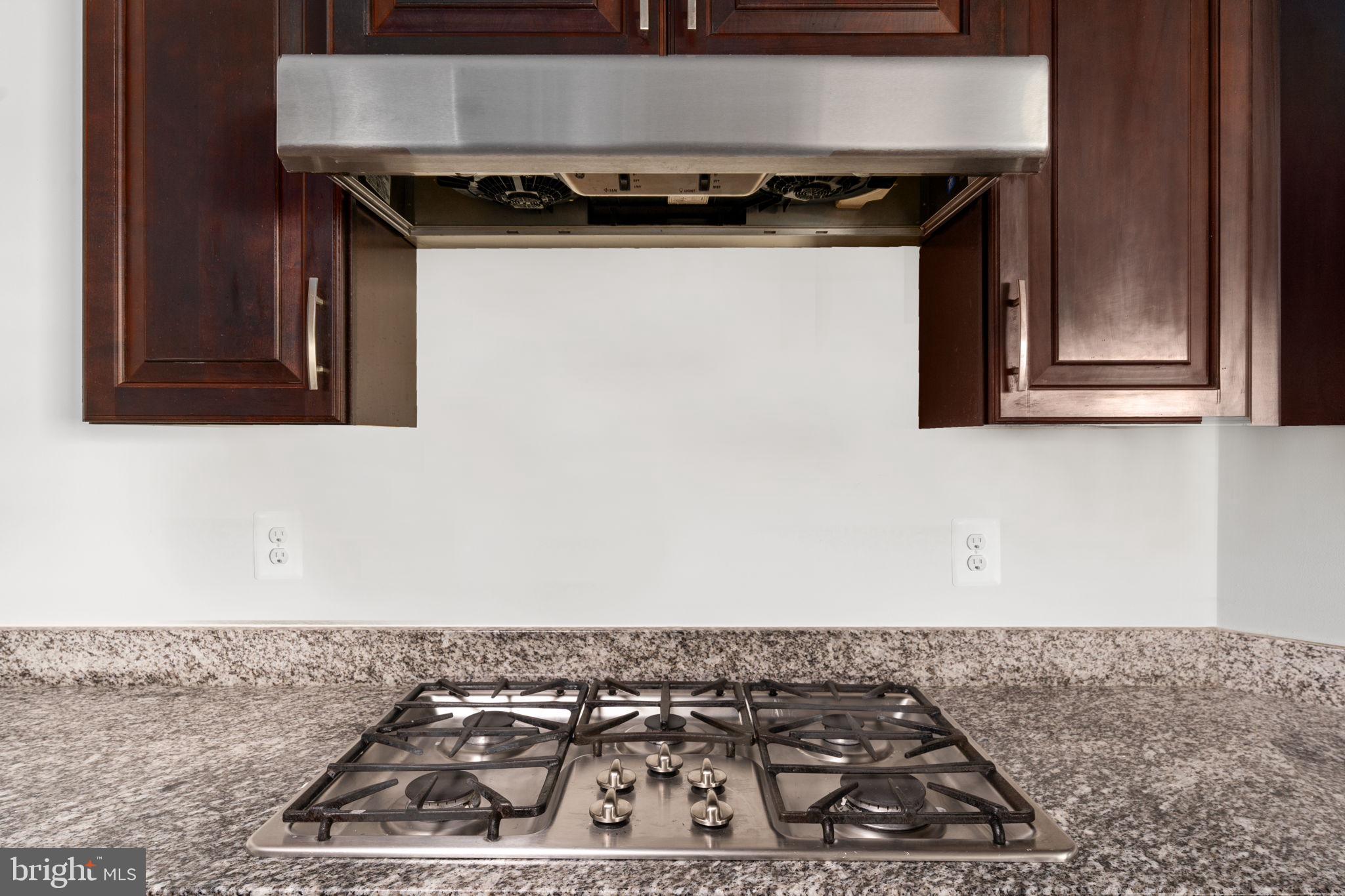 22605 Naugatuck Square Ashburn, VA 20148 - Photo 6 of 32 Gas Cooktop With Hood