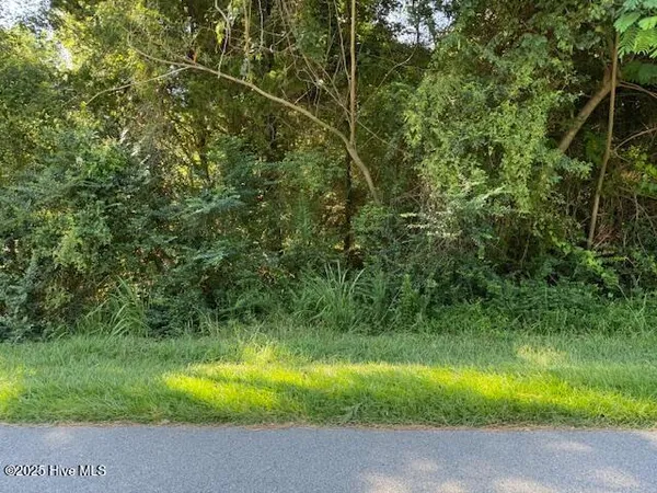 $19,500 | 220 Montpelier Drive, Edenton, NC 27932