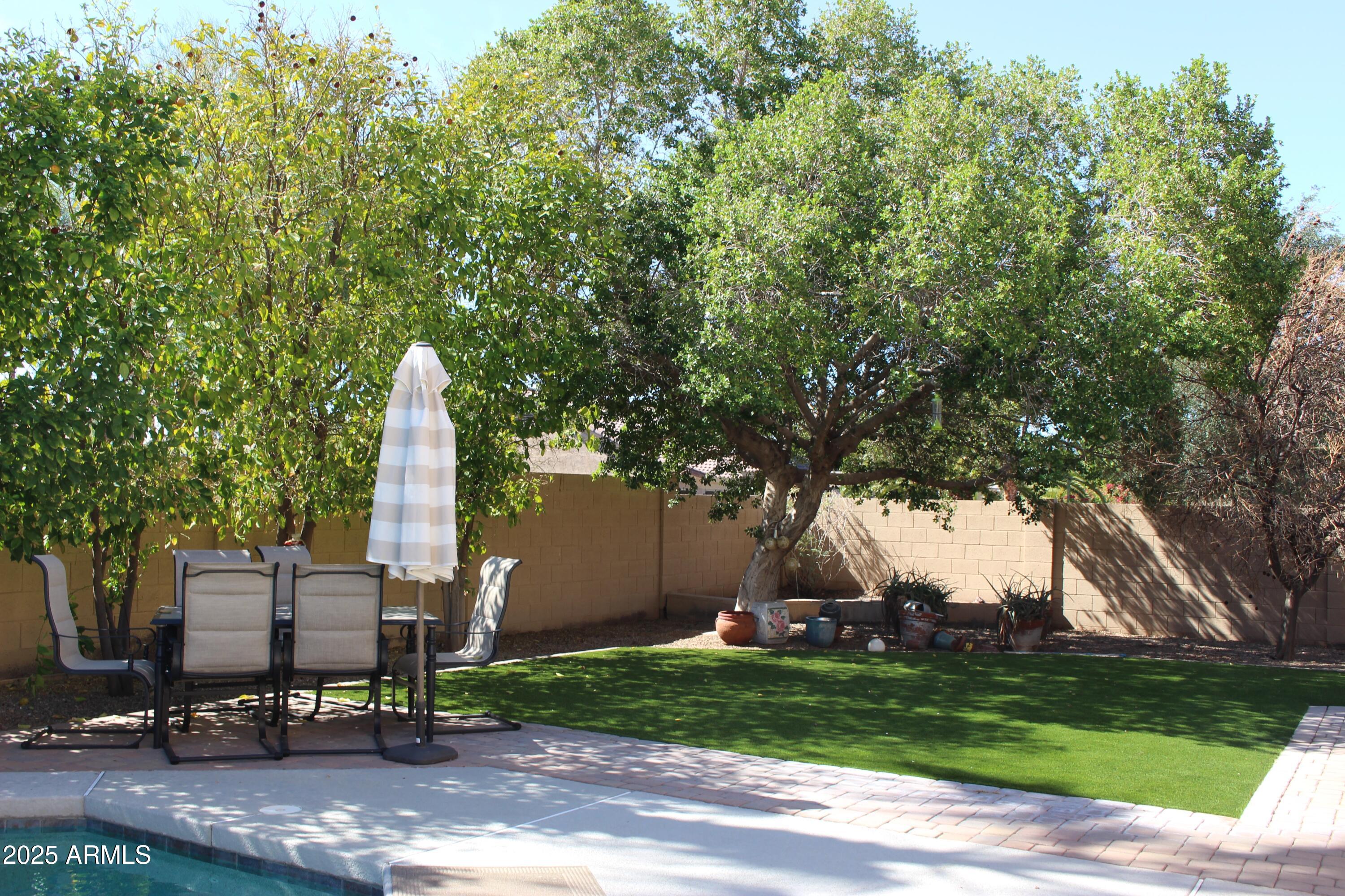 1433 West Longhorn Drive Chandler, AZ 85286 - Photo 23 of 27 a view of a park with large trees