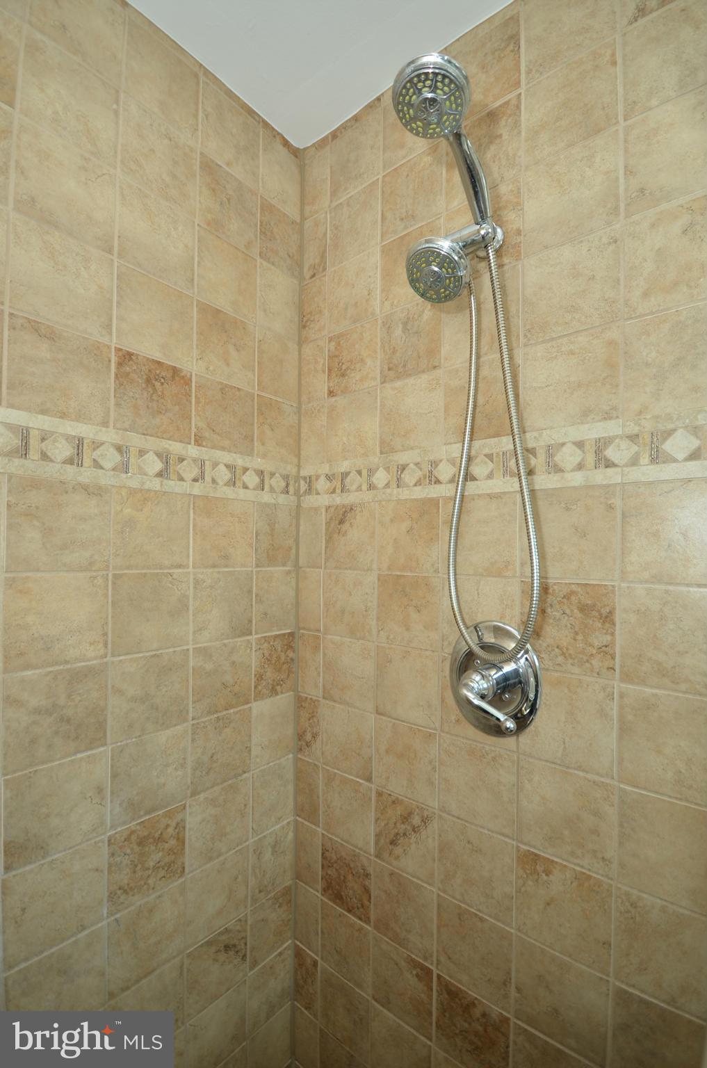 207 Felton Road Lutherville-Timonium, MD 21093 - Photo 21 of 30 Shower Detail