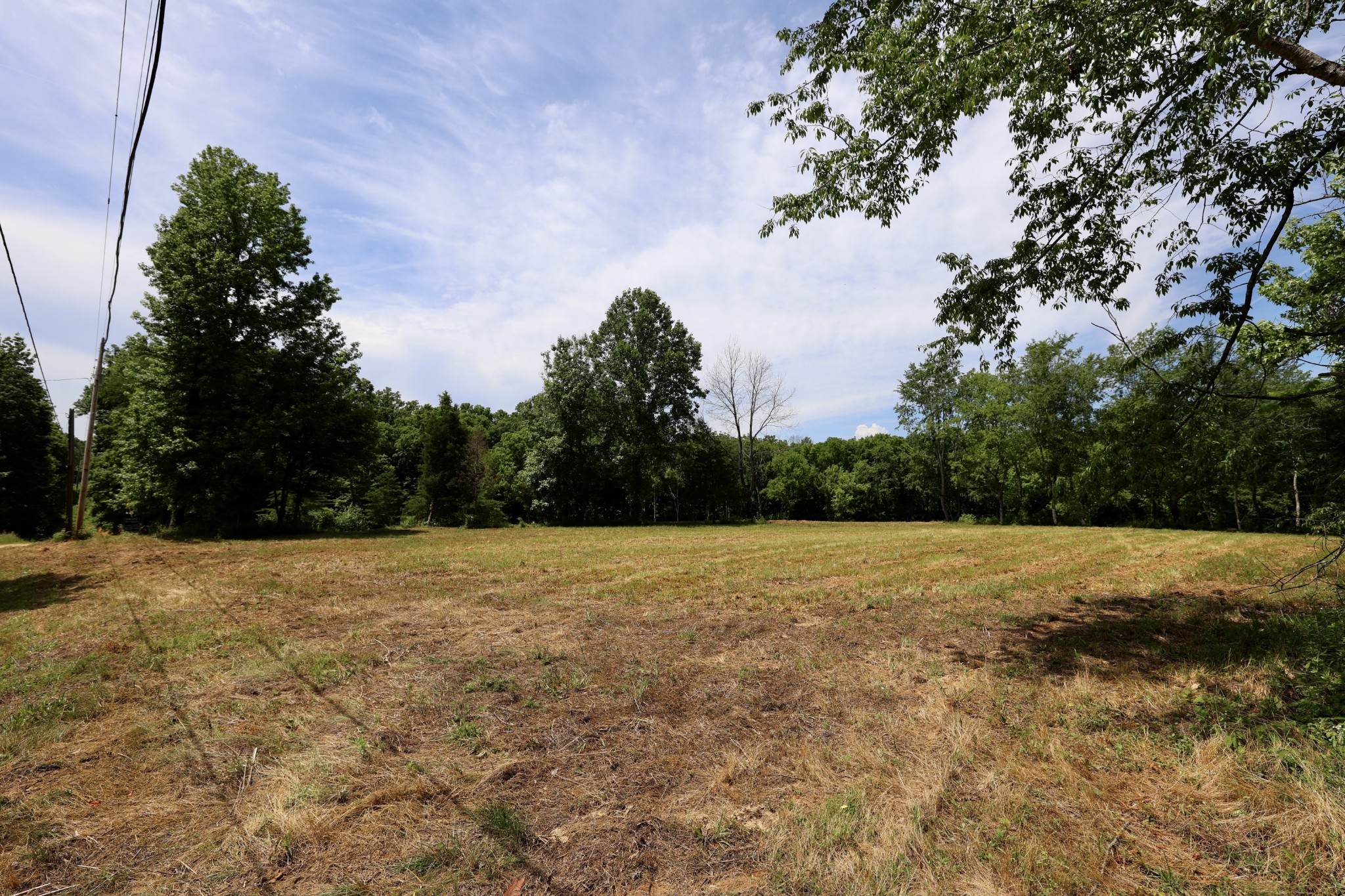5 Poplar Ridge Lane Chapmansboro, TN 37035 - Photo 34 of 34 a view of open field with trees