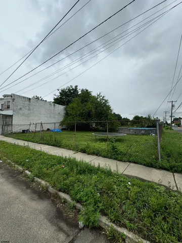 a view of a yard with potted plants and large trees
