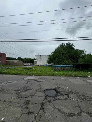 a backyard of a house with lots of green space and plants
