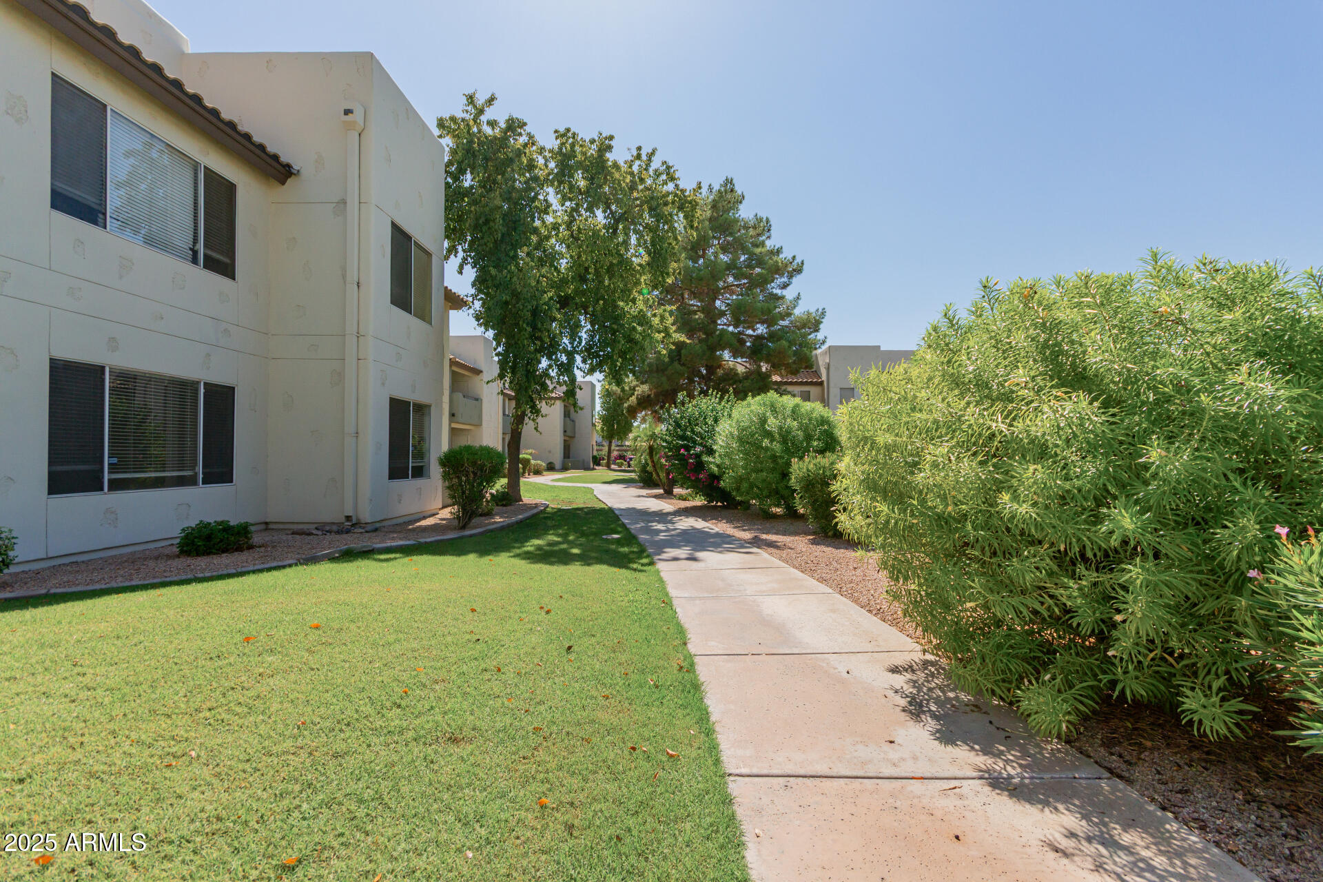 1825 West Ray Road, Unit 2070 Chandler, AZ 85224 - Photo 28 of 51 a view of backyard with outdoor space