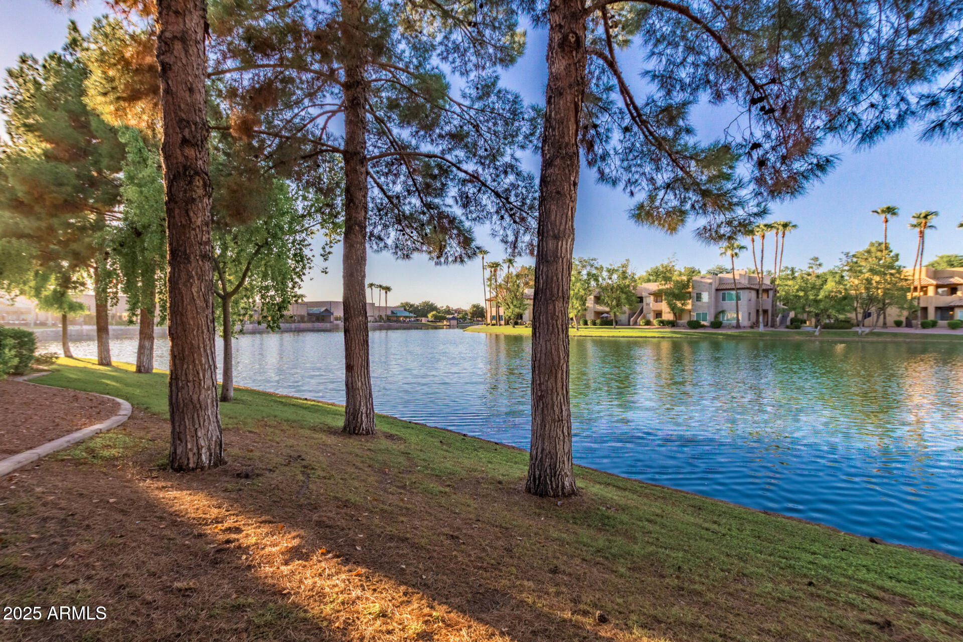 1825 West Ray Road, Unit 2070 Chandler, AZ 85224 - Photo 37 of 51 a view of a lake with a tree