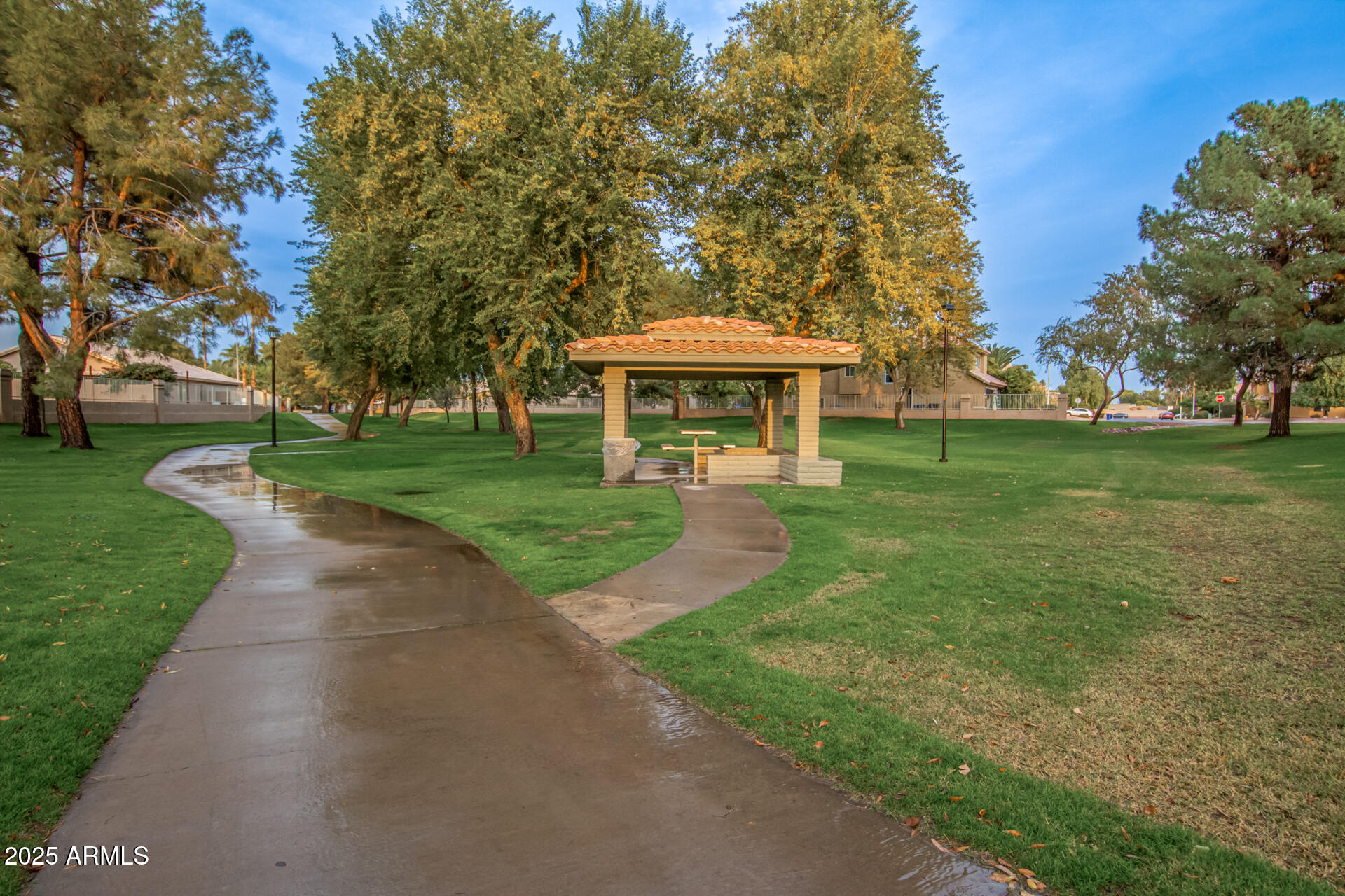 1825 West Ray Road, Unit 2070 Chandler, AZ 85224 - Photo 50 of 51 a view of a yard with plants and trees