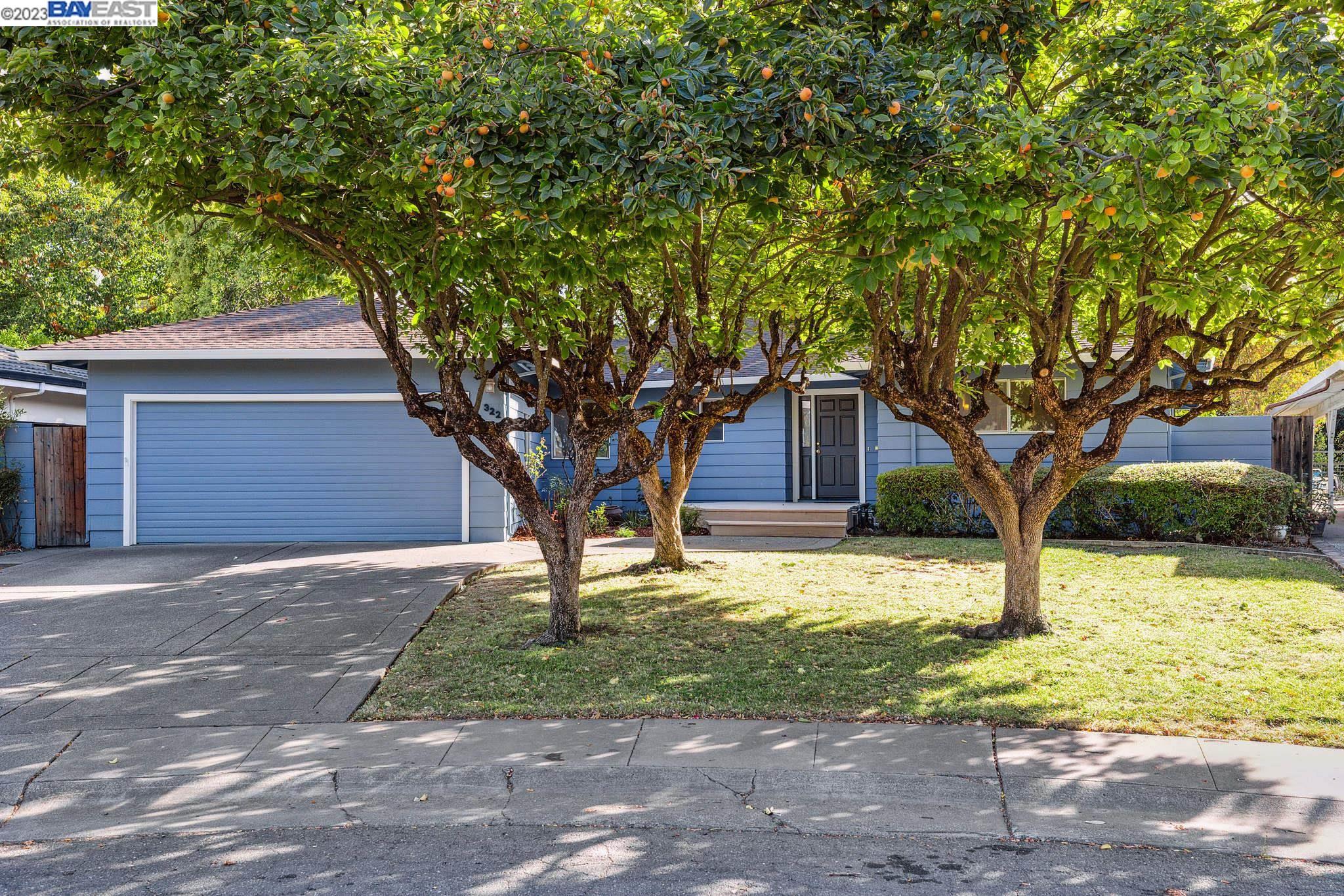 a tree in front of a white house