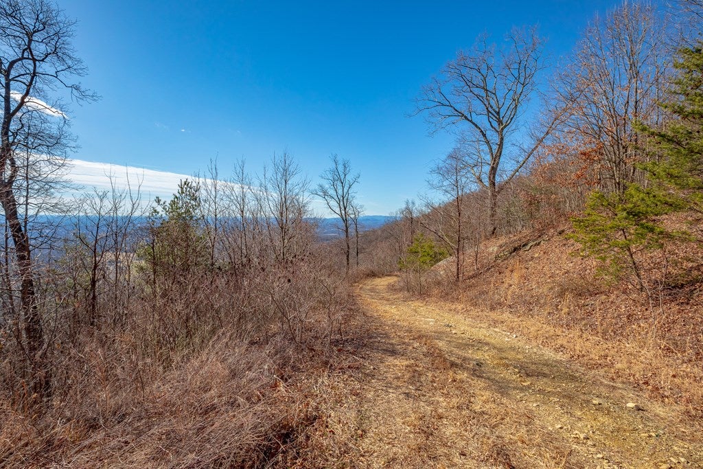 Lot 124 Spring Pond Trail, Unit 124 Fancy Gap, VA 24328 - Photo 3 of 51 Gallery Image 3