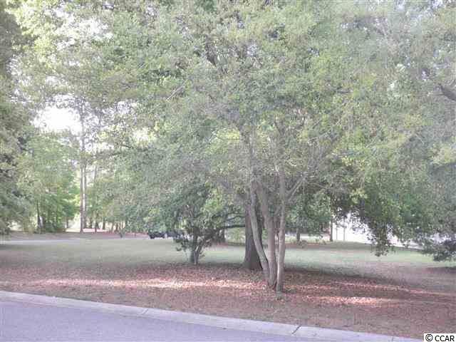 19 Gasparilla Drive Murrells Inlet, SC 29576 - Photo 1 of 11