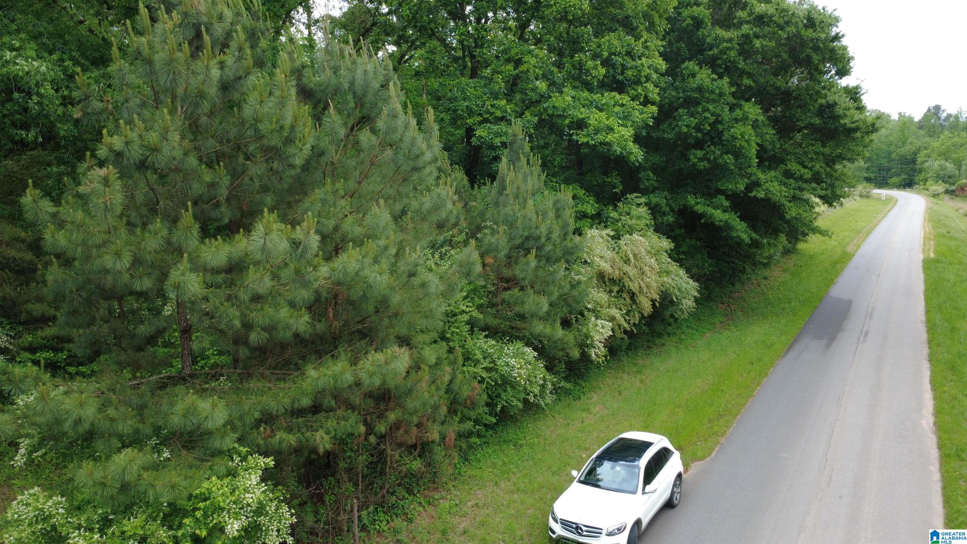 Unkn Highland Road, Unit 9 1 ACRES Lineville, AL 36266 - Photo 6 of 6