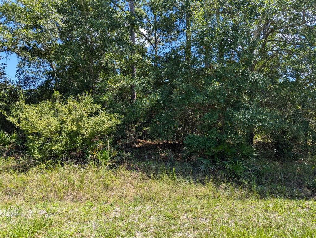 Bud Crum Road Panacea, FL 32346 - Photo 1 of 1 Gallery Image 1