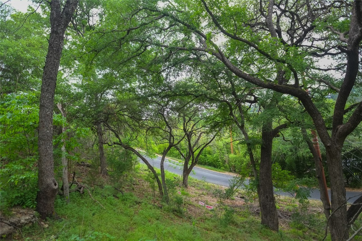 14013 Running Deer Trail Austin, TX 78734 - Photo 20 of 22 a view of backyard with green space