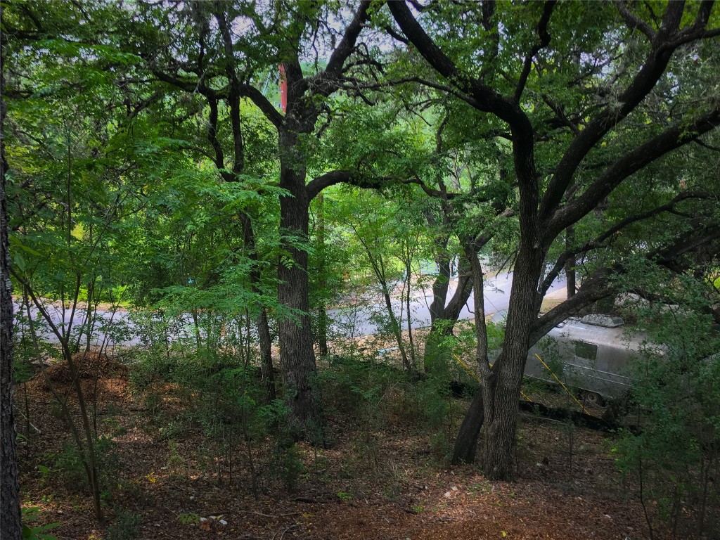 14013 Running Deer Trail Austin, TX 78734 - Photo 21 of 22 a view of a forest