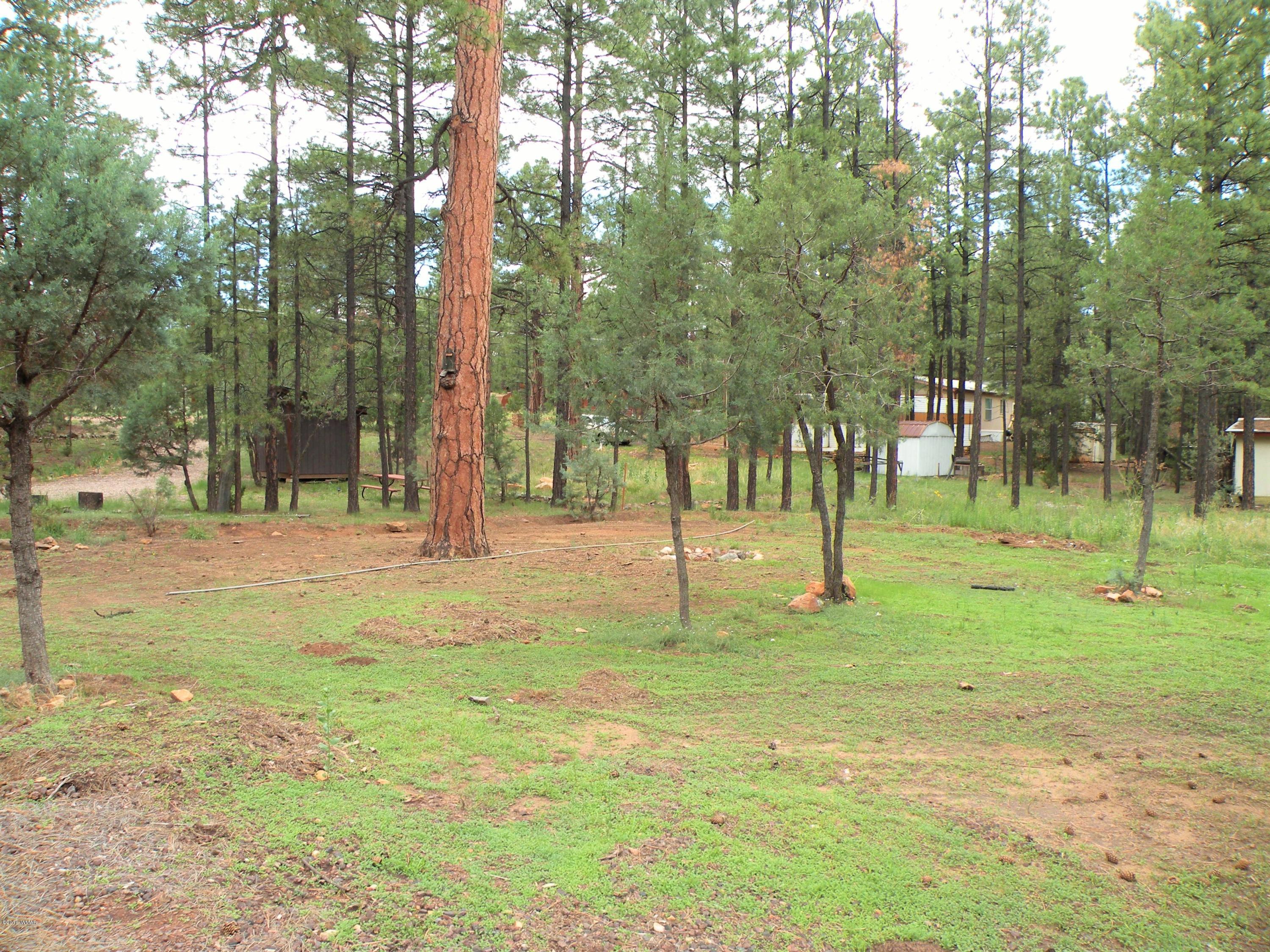 2886 Belle Road Overgaard, AZ 85933 - Photo 3 of 20