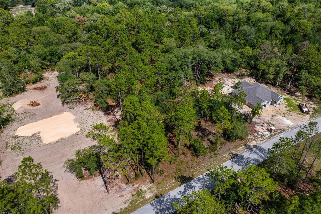 Southwest Viola Court Dunnellon, FL 34431 - Photo 6 of 9