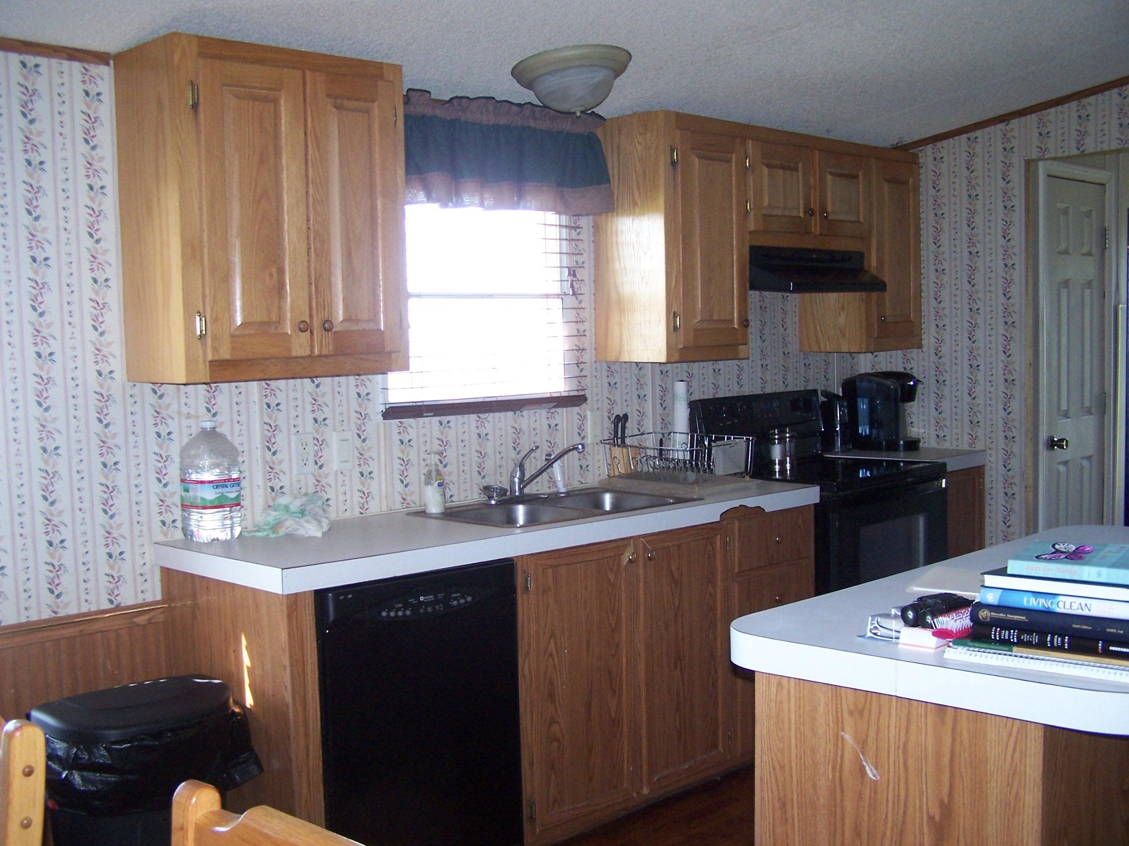1727 Shelton Road New Market, TN 37820 - Photo 2 of 19 100_9456