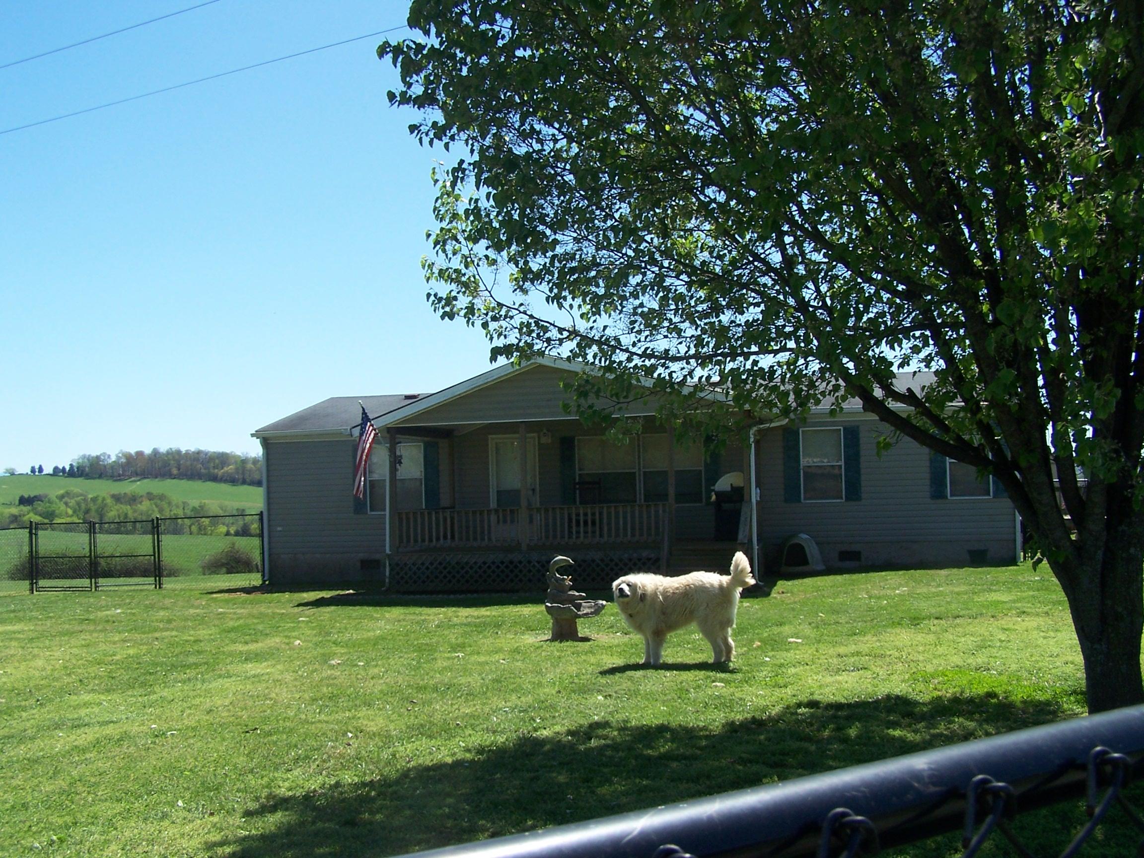 1727 Shelton Road New Market, TN 37820 - Photo 10 of 19 100_9437