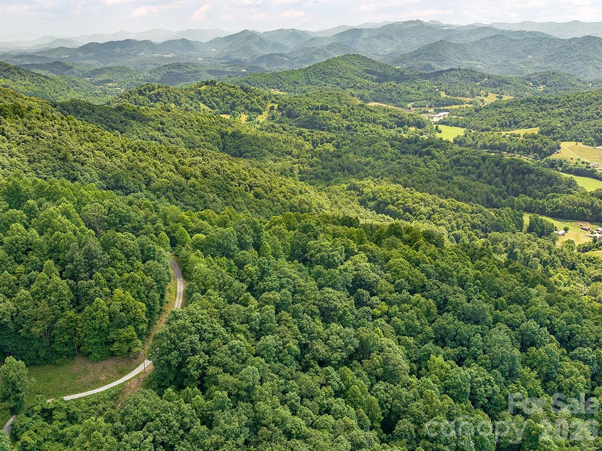 1160 High Rock Mountain Road Marshall, NC 28753 - Photo 23 of 42