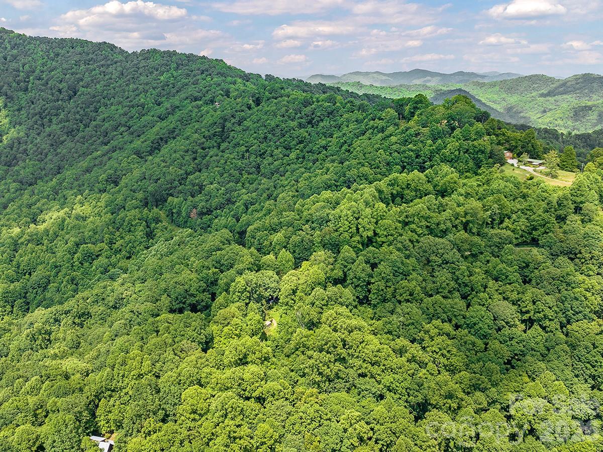 1160 High Rock Mountain Road Marshall, NC 28753 - Photo 24 of 39