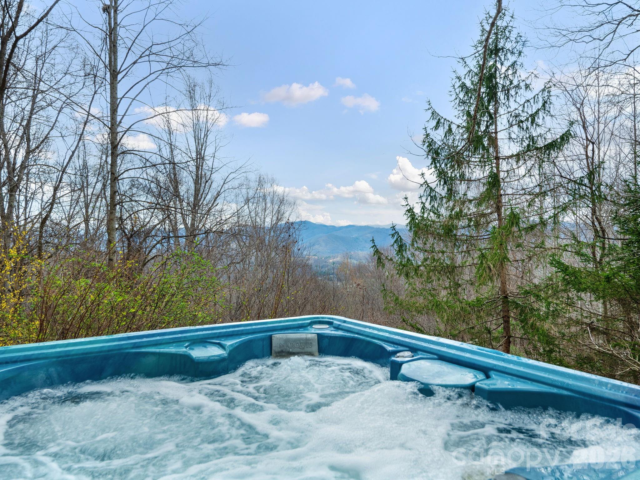 1160 High Rock Mountain Road Marshall, NC 28753 - Photo 3 of 42