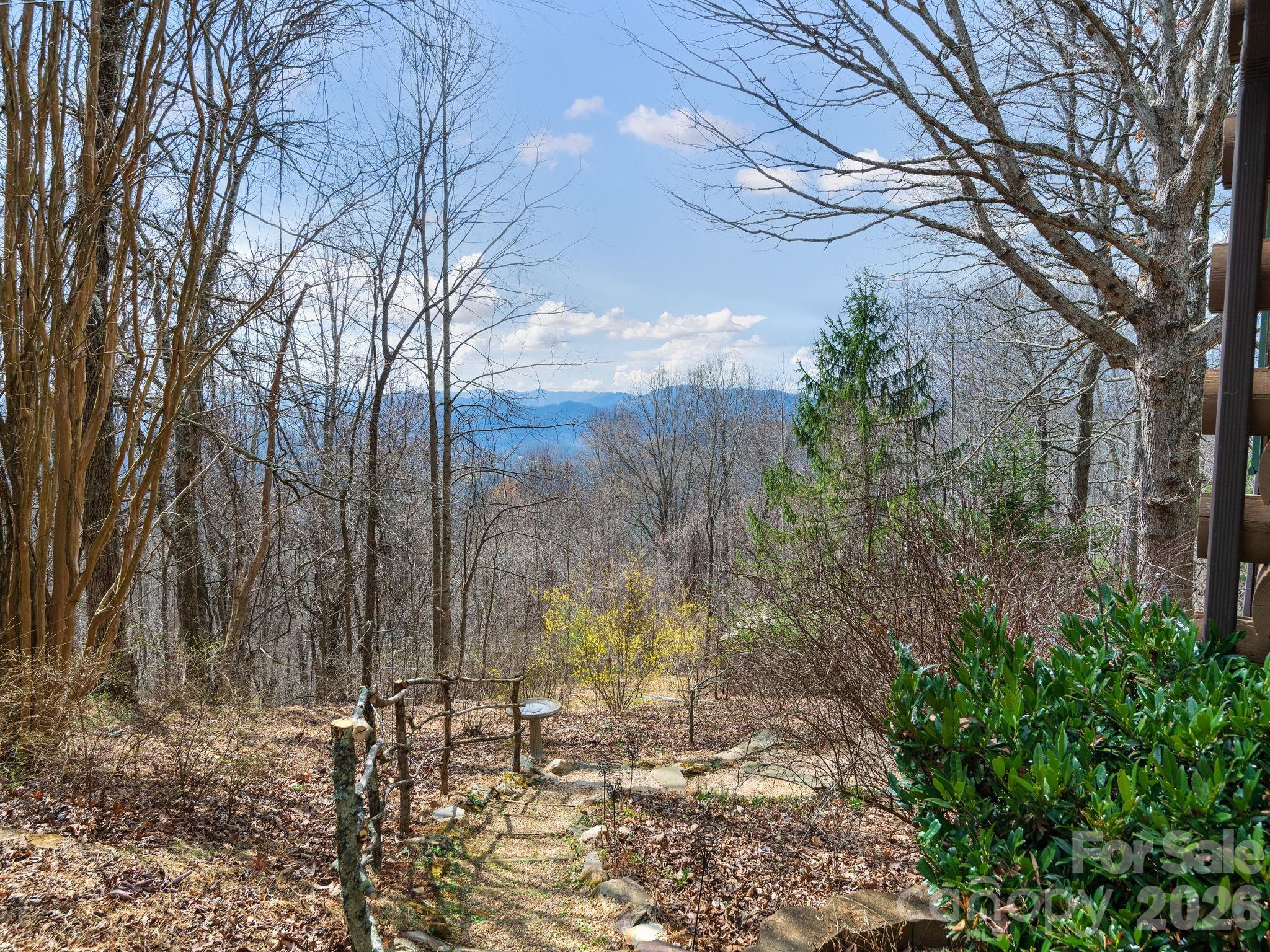 1160 High Rock Mountain Road Marshall, NC 28753 - Photo 36 of 42