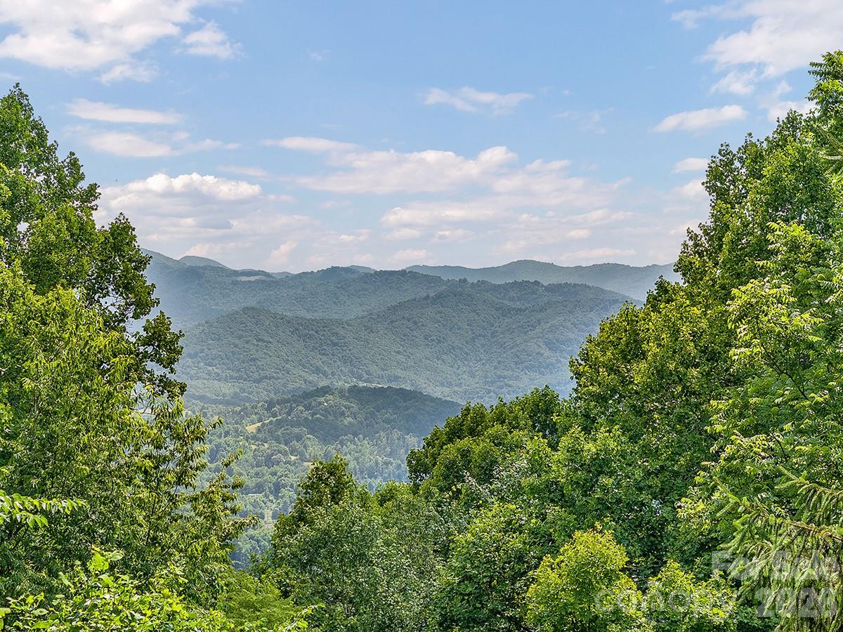 1160 High Rock Mountain Road Marshall, NC 28753 - Photo 4 of 39
