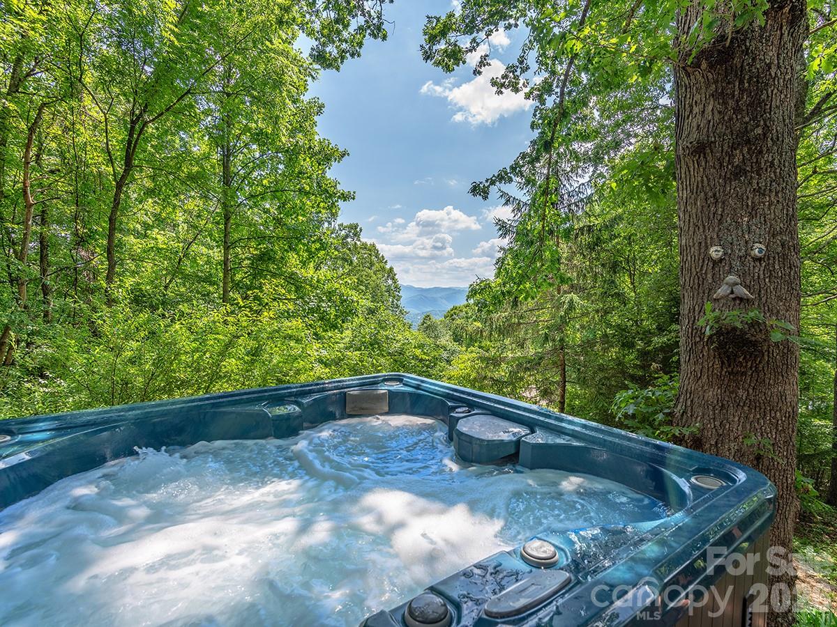 1160 High Rock Mountain Road Marshall, NC 28753 - Photo 5 of 39