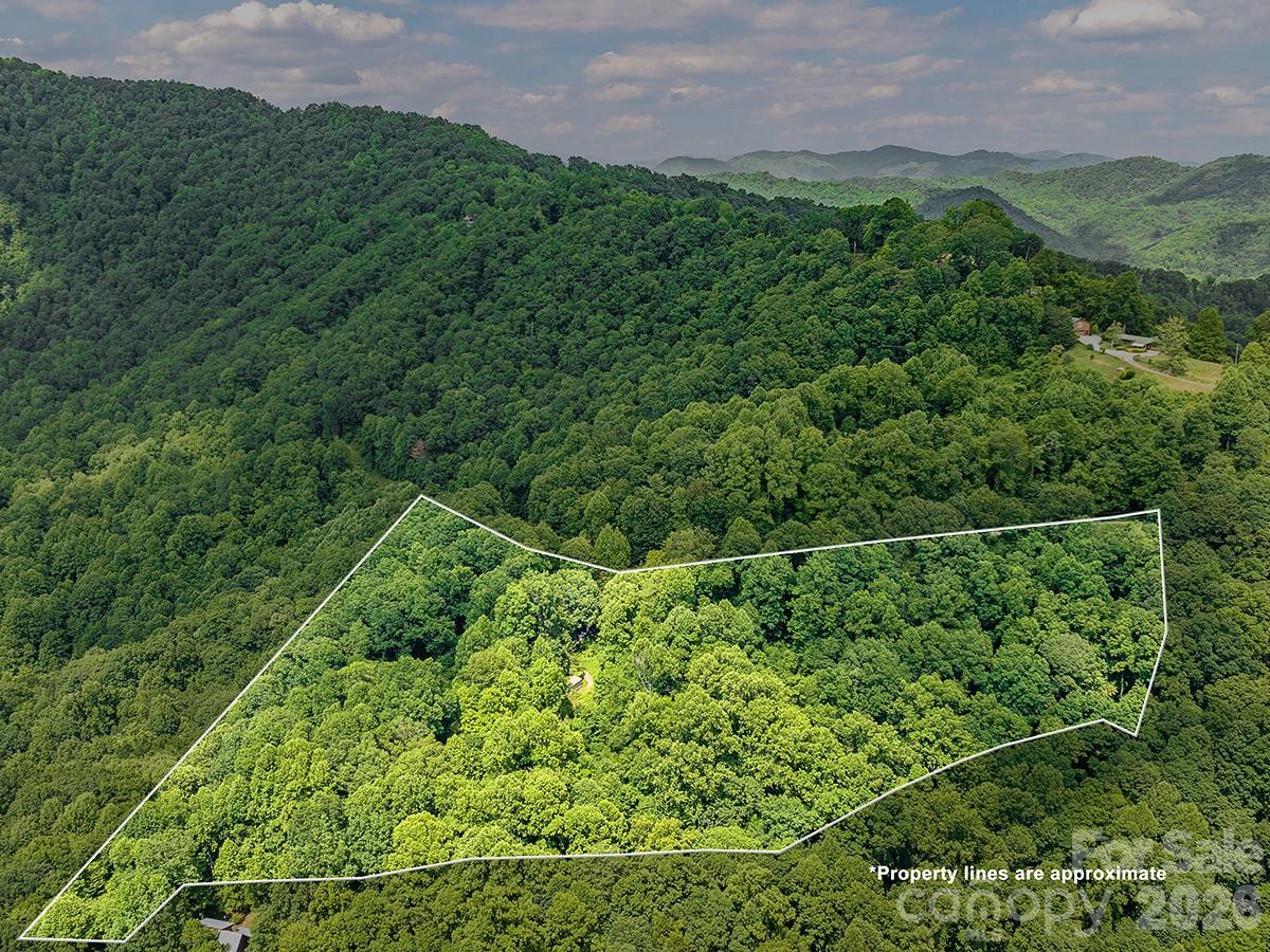 1160 High Rock Mountain Road Marshall, NC 28753 - Photo 6 of 39