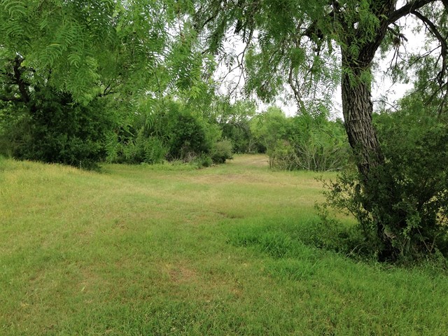 461 Rust Ranch Road, Unit 28 Blanco, TX 78606 - Photo 1 of 1 Main View