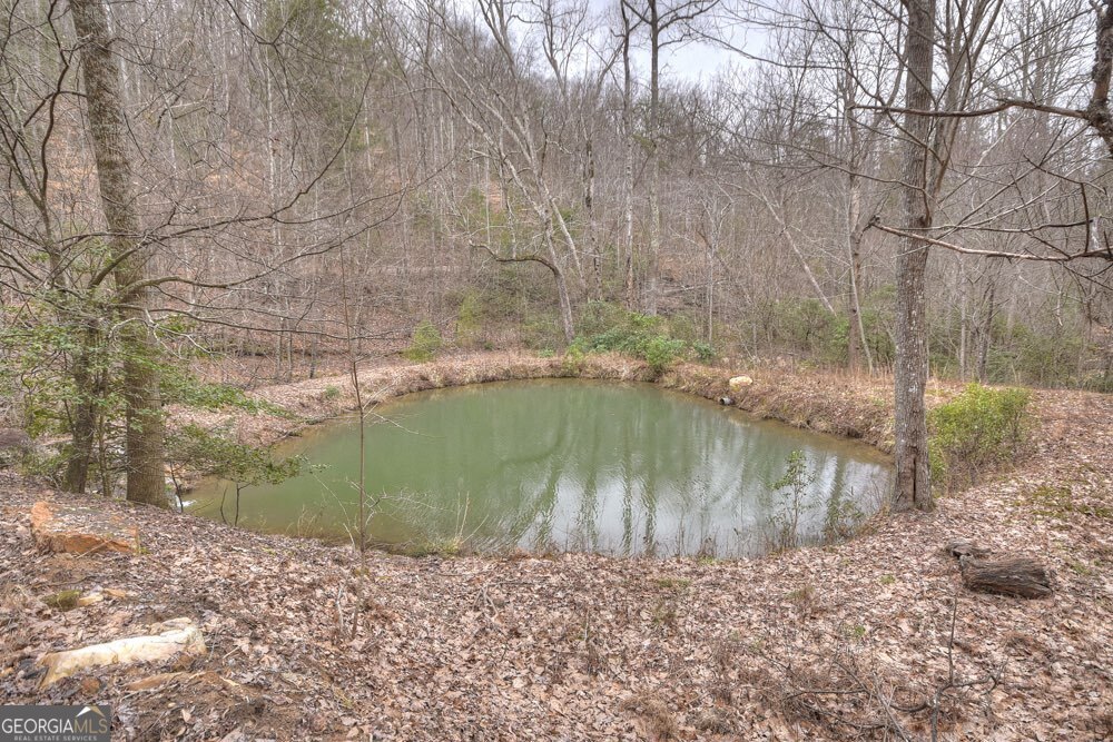 442 North Burgess Gap Road Morganton, GA 30560 - Photo 11 of 82