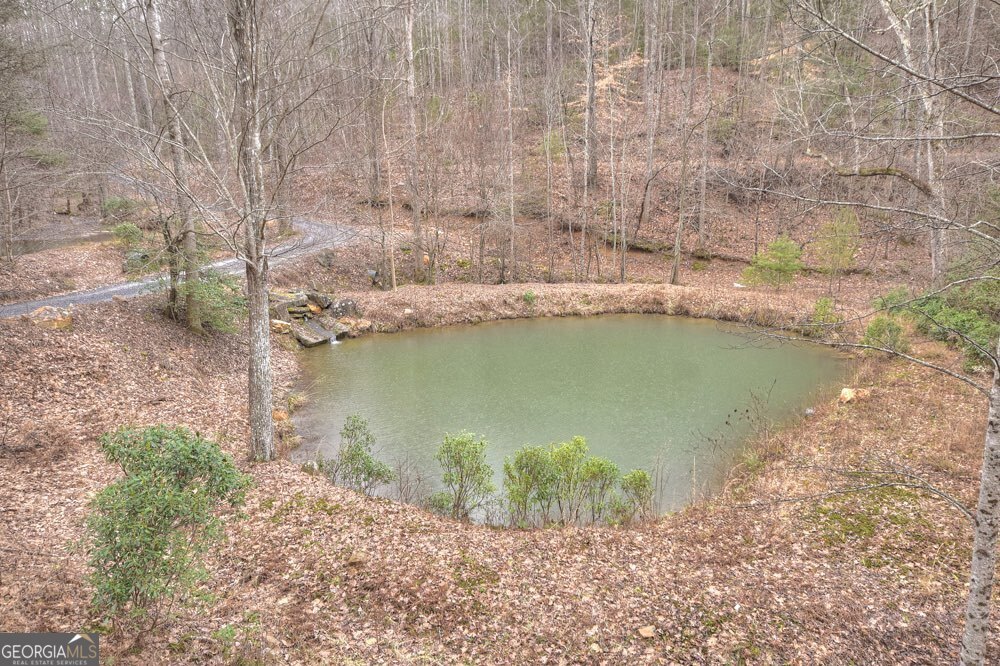 442 North Burgess Gap Road Morganton, GA 30560 - Photo 15 of 82