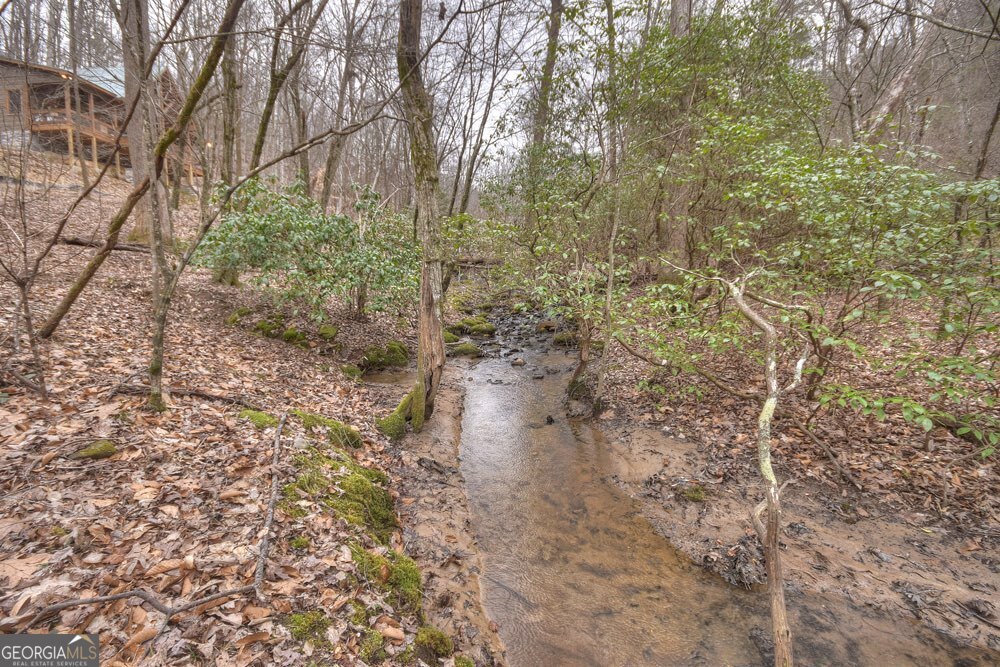 442 North Burgess Gap Road Morganton, GA 30560 - Photo 16 of 82