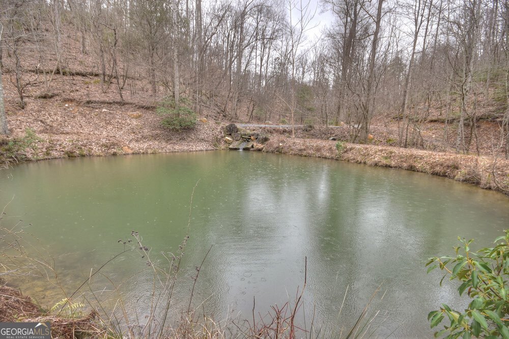 442 North Burgess Gap Road Morganton, GA 30560 - Photo 17 of 82