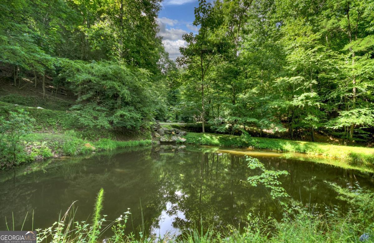 442 North Burgess Gap Road Morganton, GA 30560 - Photo 24 of 82