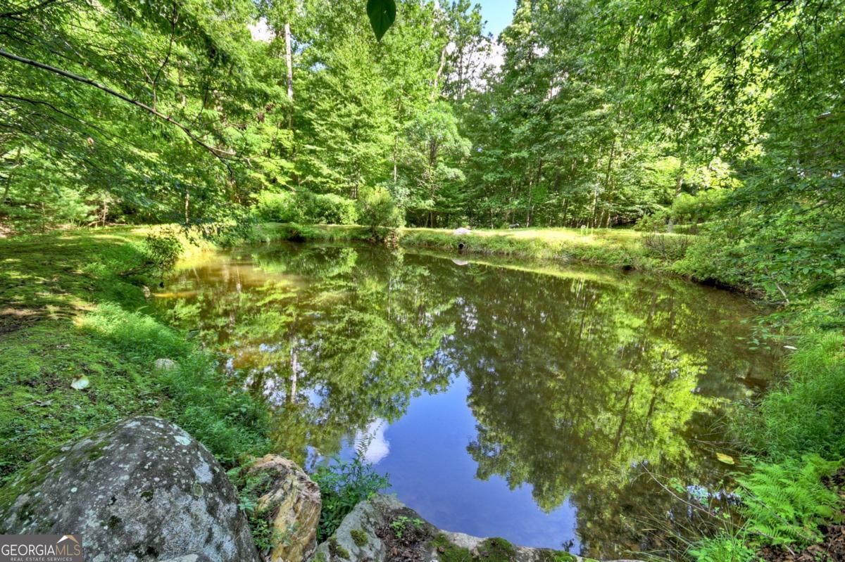 442 North Burgess Gap Road Morganton, GA 30560 - Photo 30 of 82