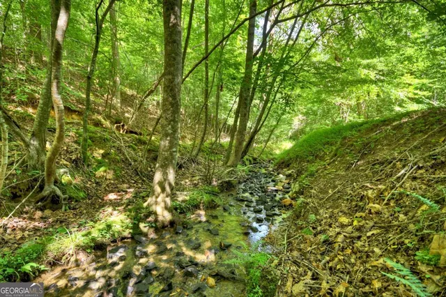 a view of a yard with large trees