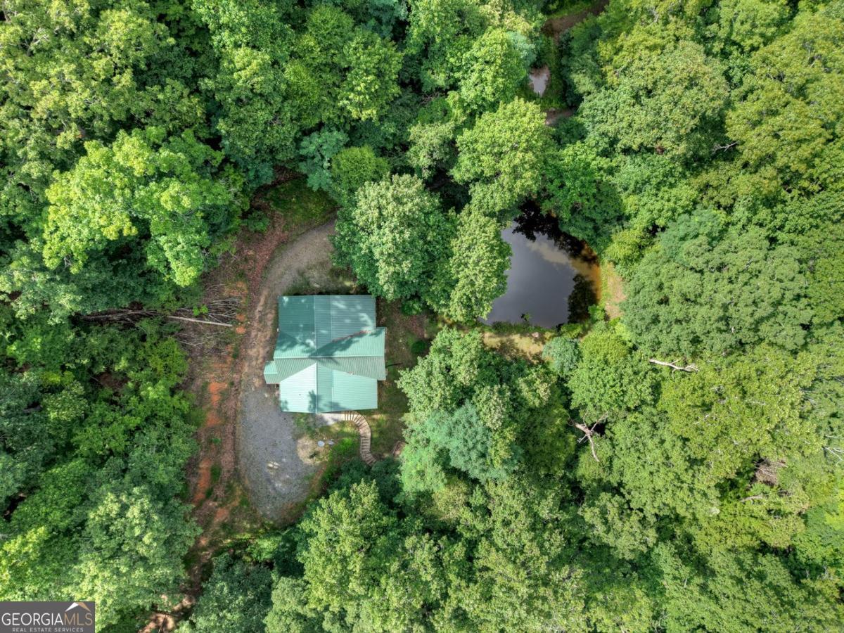 442 North Burgess Gap Road Morganton, GA 30560 - Photo 32 of 82