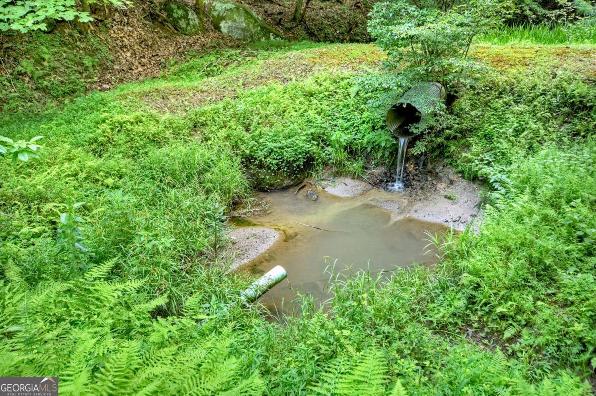 442 North Burgess Gap Road Morganton, GA 30560 - Photo 40 of 82