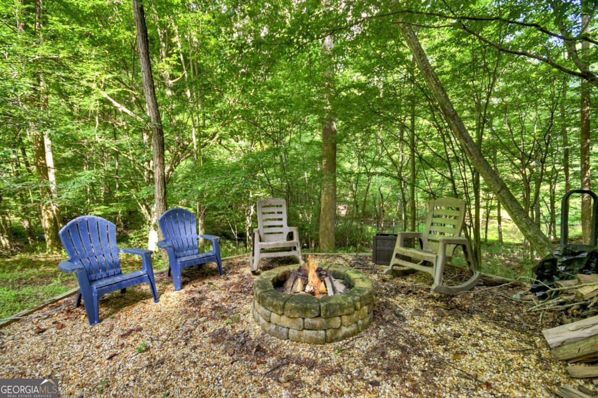 442 North Burgess Gap Road Morganton, GA 30560 - Photo 4 of 82