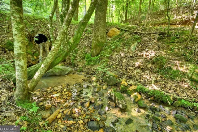 a bathroom with a granite countertop toilet sink and mirror